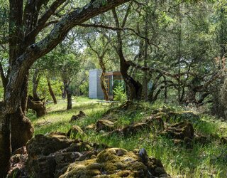 Moss-covered rocks and twisted tree trunks give the landscape a fairyland-like quality.