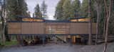 This Forest Home in Chile Is Elevated to Float Among the Trees