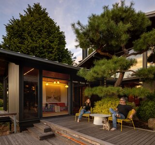 The previous homeowners had cultivated a large, Asian-inspired garden. The courtyard centers around this towering, bushy tree.